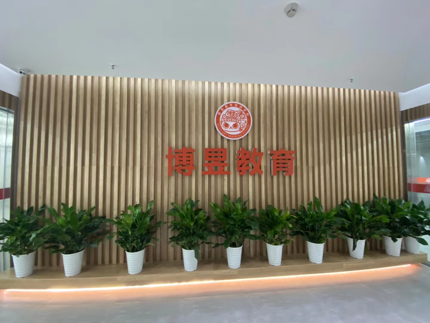 武漢市青山區(qū)博昱美術(shù)培訓學校